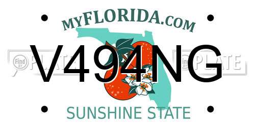 V494NG Florida License Plate