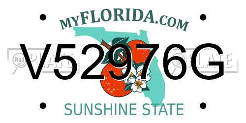 V52976G Florida License Plate