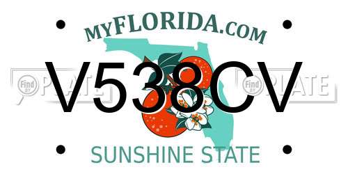 V538CV Florida License Plate