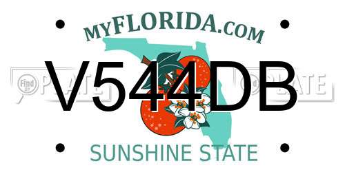 V544DB Florida License Plate