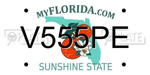 V555PE Florida License Plate