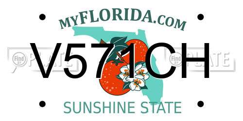 V571CH Florida License Plate