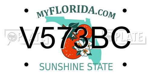 V573BC Florida License Plate