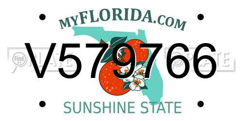 V579766 Florida License Plate