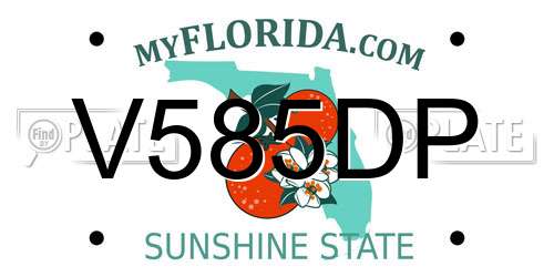 V585DP Florida License Plate