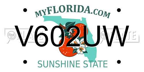 V602UW Florida License Plate