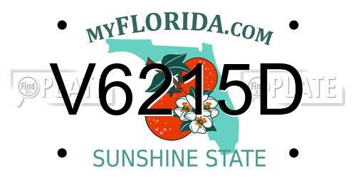 V6215D Florida License Plate