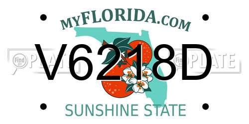 V6218D Florida License Plate