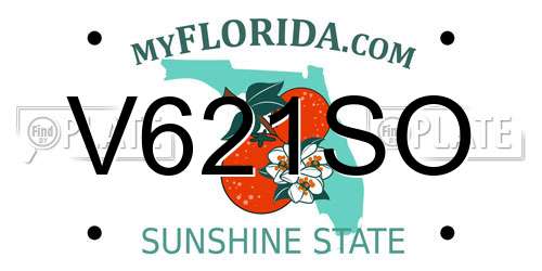 V621SO Florida License Plate
