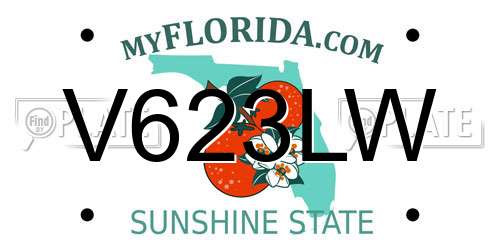 V623LW Florida License Plate