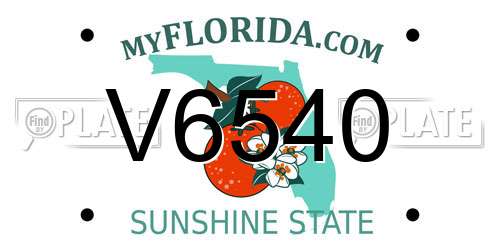V6540 Florida License Plate