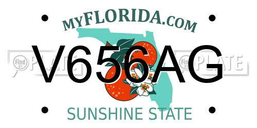 V656AG Florida License Plate