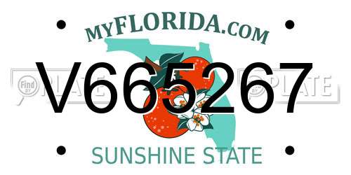 V665267 Florida License Plate