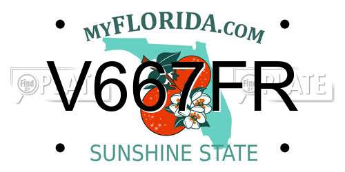 V667FR Florida License Plate