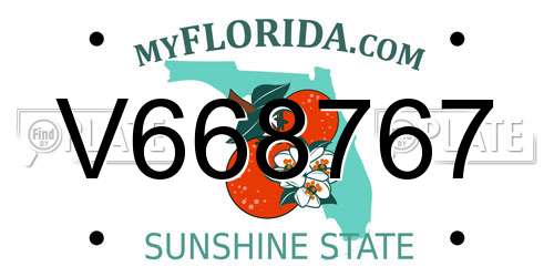 V668767 Florida License Plate