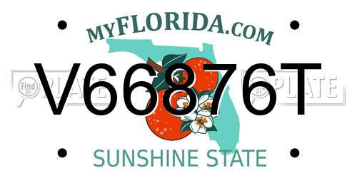V66876T Florida License Plate