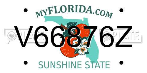V66876Z Florida License Plate