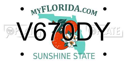 V670DY Florida License Plate