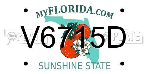 V6715D Florida License Plate