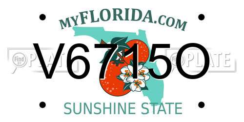 V6715O Florida License Plate