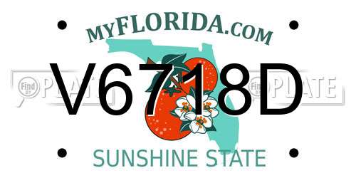 V6718D Florida License Plate