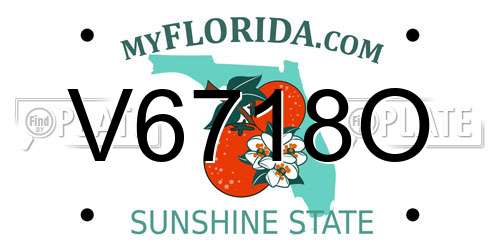 V6718O Florida License Plate