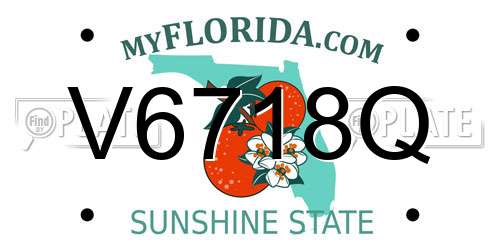 V6718Q Florida License Plate