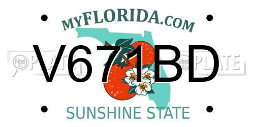 V671BD Florida License Plate