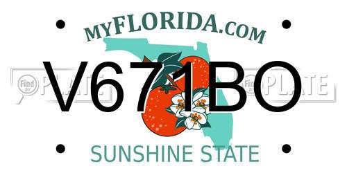 V671BO Florida License Plate