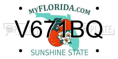 V671BQ Florida License Plate