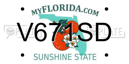 V671SD Florida License Plate