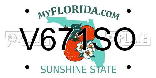 V671SO Florida License Plate