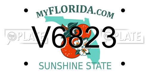 V6823 Florida License Plate