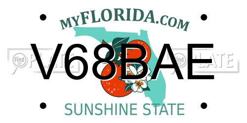 V68BAE Florida License Plate