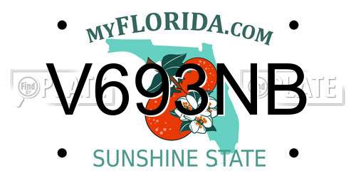 V693NB Florida License Plate