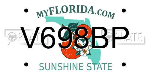 V698BP Florida License Plate