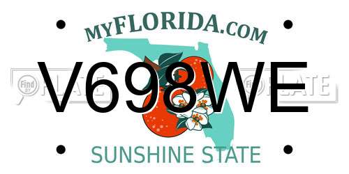 V698WE Florida License Plate