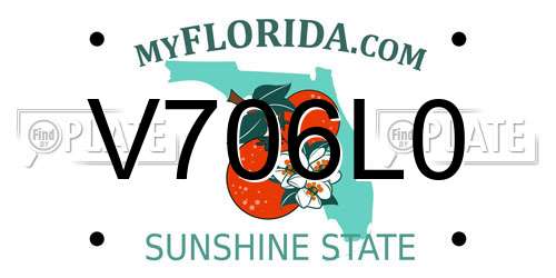 V706L0 Florida License Plate