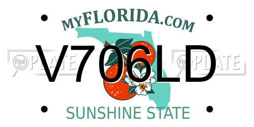 V706LD Florida License Plate