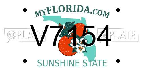 V7154 Florida License Plate