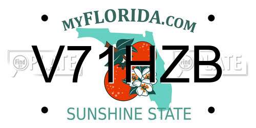 V71HZB Florida License Plate