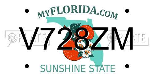 V728ZM Florida License Plate