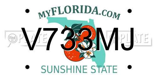 V733MJ Florida License Plate