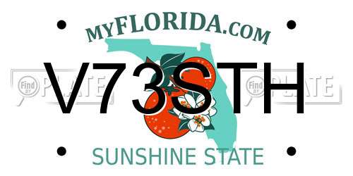 V73STH Florida License Plate
