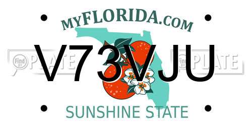 V73VJU Florida License Plate