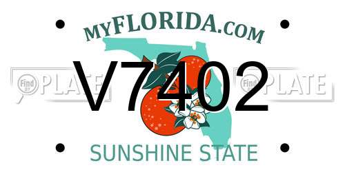 V7402 Florida License Plate