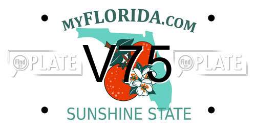 V75 Florida License Plate