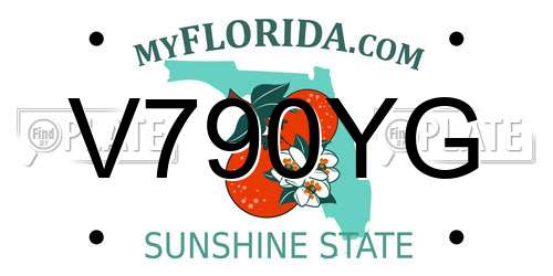 V790YG Florida License Plate