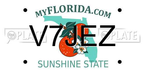 V7JEZ Florida License Plate