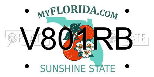 V801RB Florida License Plate